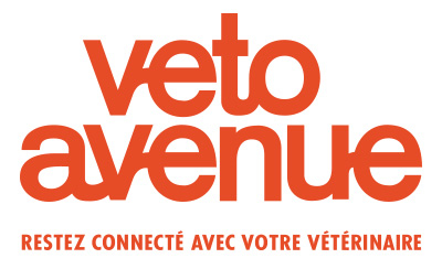 https://lnvet.fr/wp-content/uploads/2023/04/Vetoavenue-400x244.jpg